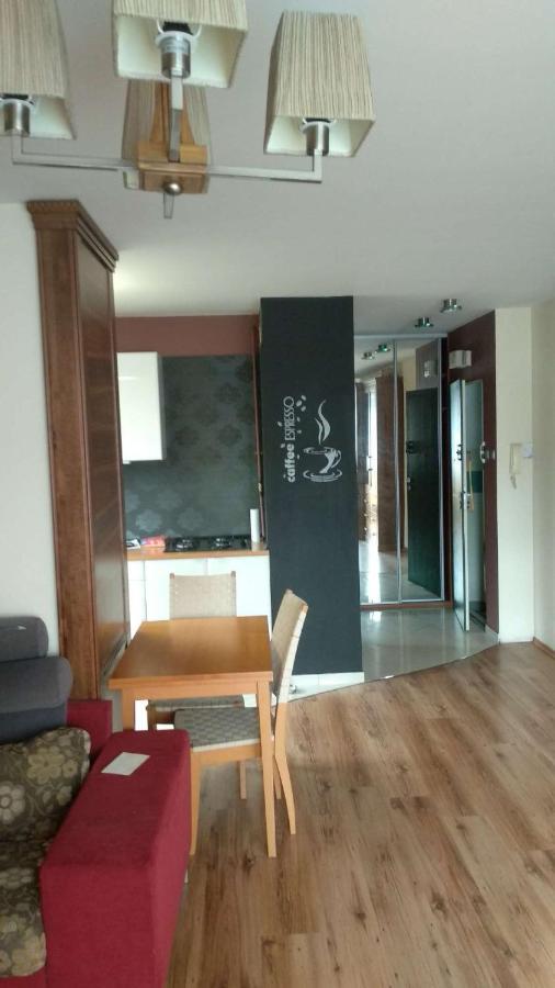Lesny Apartament 比亚韦斯托克 外观 照片