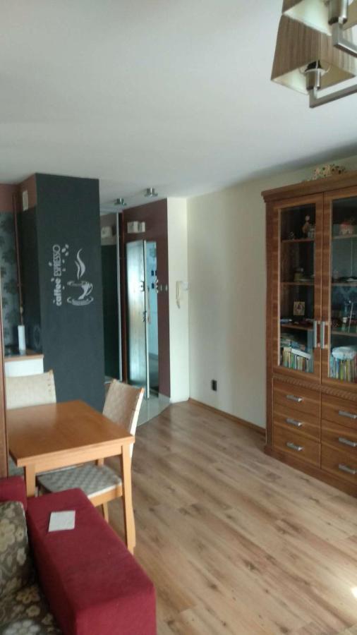 Lesny Apartament 比亚韦斯托克 外观 照片